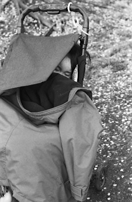 pic1.jpg (30351 �o�C�g)