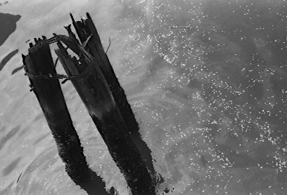 scan6193.jpg (29902 �o�C�g)