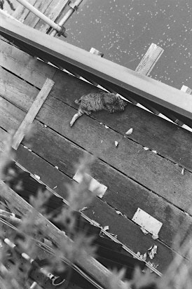 scan6196.jpg (34728 �o�C�g)