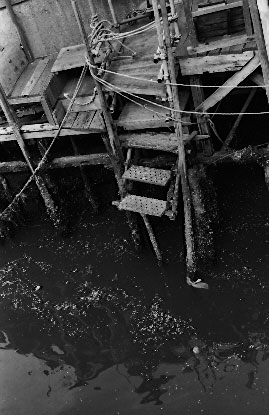 scan6197.jpg (35551 �o�C�g)