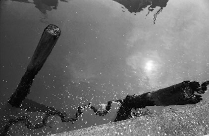 scan6198.jpg (27353 �o�C�g)