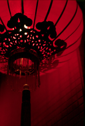 Scan5101.jpg (89743 �o�C�g)