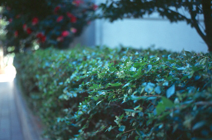 f24c.jpg (125568 �o�C�g)