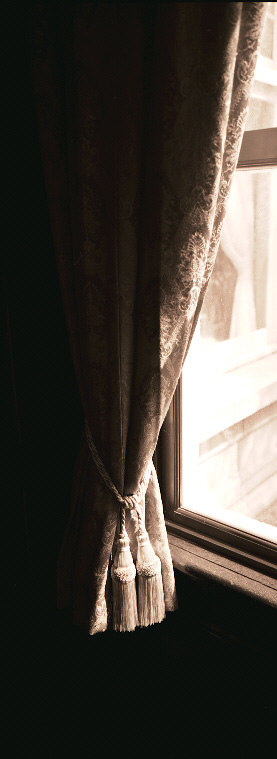 hato1.jpg (54905 �o�C�g)