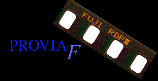 strip3.jpg (10055 �o�C�g)