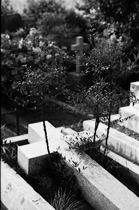 Scan4454.jpg (38043 �o�C�g)