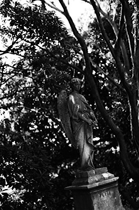 Scan4380.jpg (50325 �o�C�g)