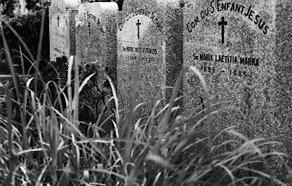 Scan4402.jpg (49513 �o�C�g)