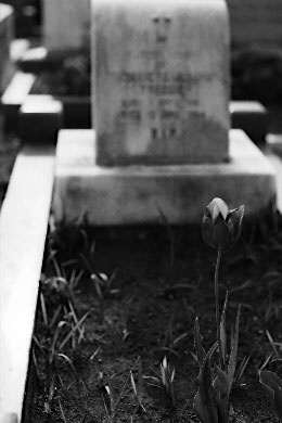 Scan4408.jpg (19639 �o�C�g)