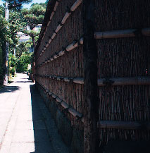 panf.jpg (15244 �o�C�g)