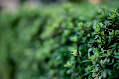 rvp142aeg.jpg (23459 �o�C�g)