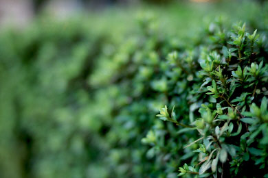 rvp142mmj.jpg (24930 �o�C�g)