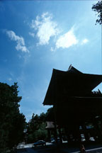 filter-ari2.jpg (7274 �o�C�g)