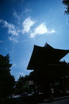 filter-nashi2.jpg (6879 �o�C�g)