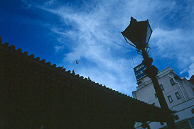 image.jpg (21041 �o�C�g)