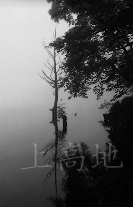 logo.jpg (21976 �o�C�g)