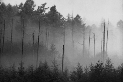 Scan4670.jpg (34671 �o�C�g)