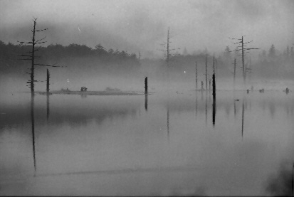 Scan4686.jpg (23390 �o�C�g)