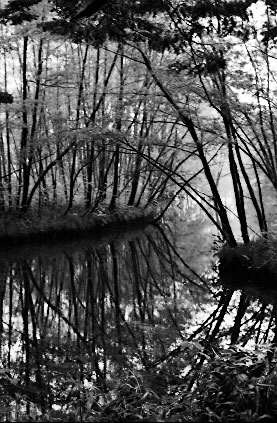 Scan4707.jpg (53504 �o�C�g)