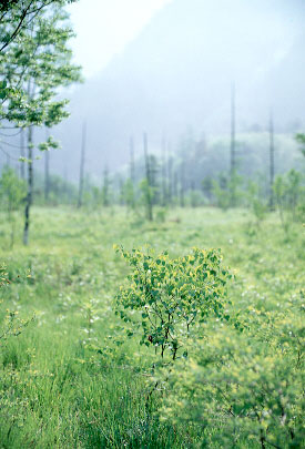 Scan4720.jpg (37594 �o�C�g)