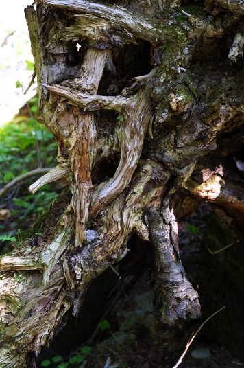 walk1.jpg (112497 �o�C�g)