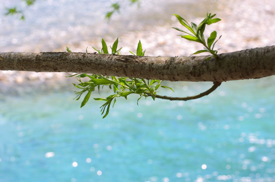 water1ef50.jpg (63452 �o�C�g)