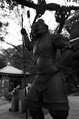 pic3.jpg (42204 �o�C�g)