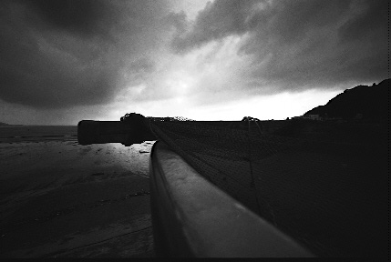 hama1.jpg (30046 �o�C�g)