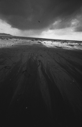 hama2.jpg (27222 �o�C�g)