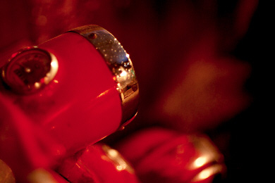 Scan2678.jpg (55841 �o�C�g)