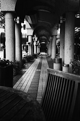 Scan3000.jpg (27235 �o�C�g)