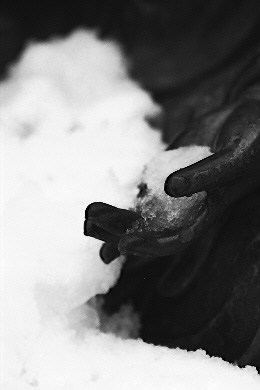 Scan3259.jpg (19994 �o�C�g)