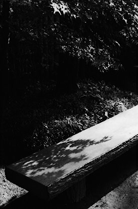 �V���E���ю�