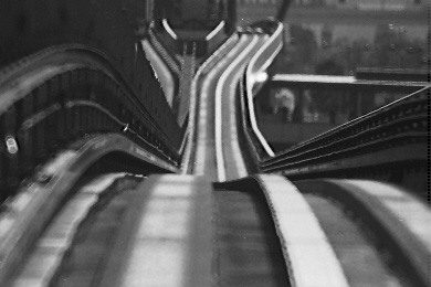 scan6029.jpg (43077 �o�C�g)