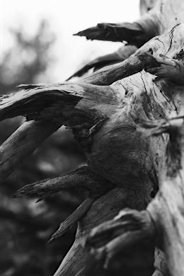 as200-100pr.jpg (22055 �o�C�g)