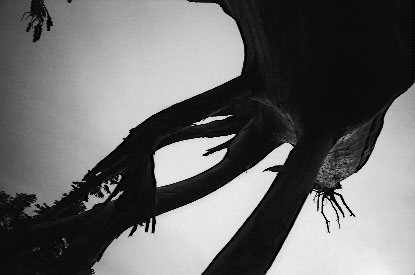 hologon-400pr.jpg (18141 �o�C�g)