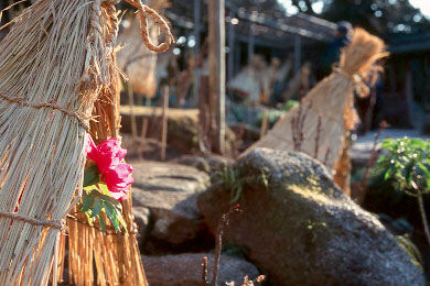 �~���O - RTSII, SP60/2.8, RDPIII(+1����)