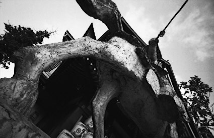 hologon.jpg (32240 �o�C�g)