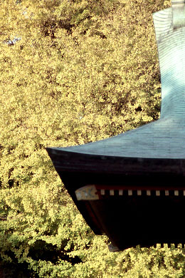 p135ed3.jpg (53687 �o�C�g)