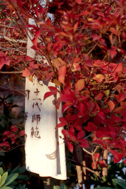 p55ed3.jpg (41822 �o�C�g)