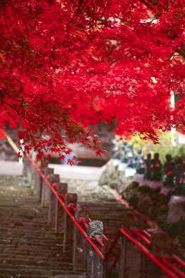 p55rvp3.jpg (43605 �o�C�g)