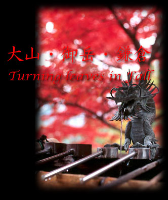 title.jpg (54431 �o�C�g)