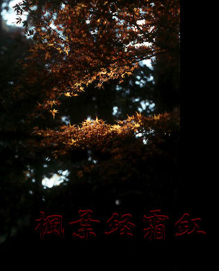 banner.jpg (36426 �o�C�g)