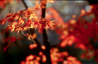 r80eb2a.jpg (27349 �o�C�g)