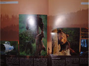 page.jpg (13517 �o�C�g)