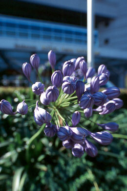 d21-ex2.jpg (29281 �o�C�g)