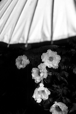 d28-ex3.jpg (28015 �o�C�g)