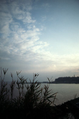 d28ex1.jpg (16143 �o�C�g)