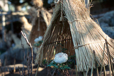 p100-ex2.jpg (39456 �o�C�g)