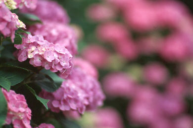 p135-ex5.jpg (20668 �o�C�g)